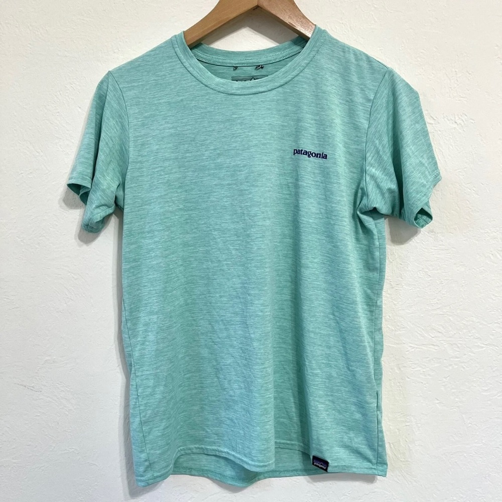 Patagonia Capilene Cool Graphic TShirt